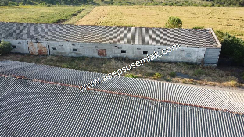 1.306 M2 Satılık Tavuk Çiftliği Her şeyi Hazır