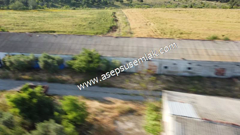 1.306 M2 Satılık Tavuk Çiftliği Her şeyi Hazır