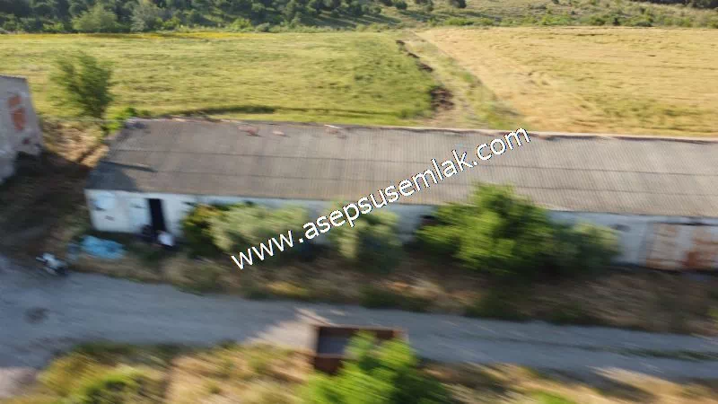 1.306 M2 Satılık Tavuk Çiftliği Her şeyi Hazır