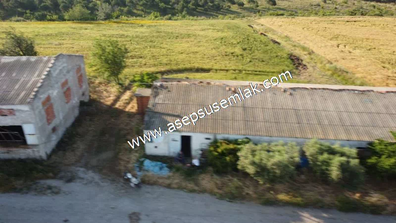 1.306 M2 Satılık Tavuk Çiftliği Her şeyi Hazır