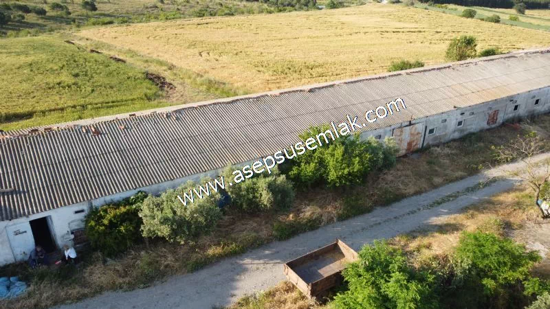 1.306 M2 Satılık Tavuk Çiftliği Her şeyi Hazır