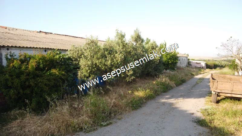 1.306 M2 Satılık Tavuk Çiftliği Her şeyi Hazır