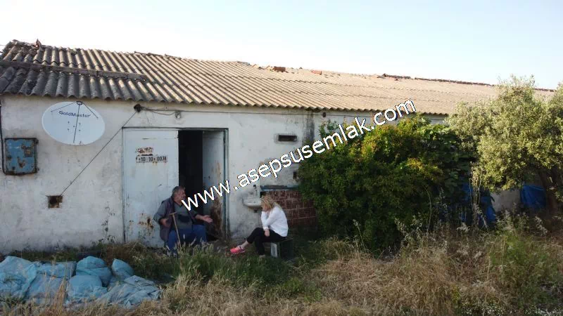 1.306 M2 Satılık Tavuk Çiftliği Her şeyi Hazır