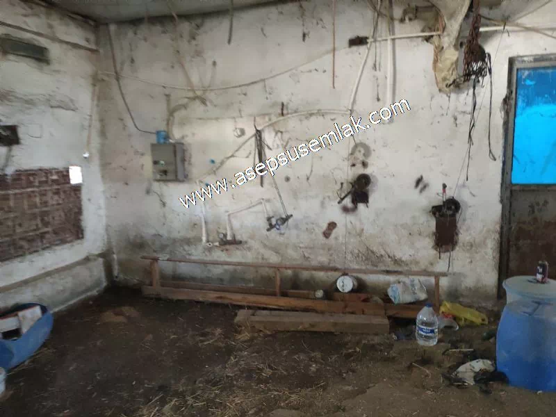 1.306 M2 Satılık Tavuk Çiftliği Her şeyi Hazır