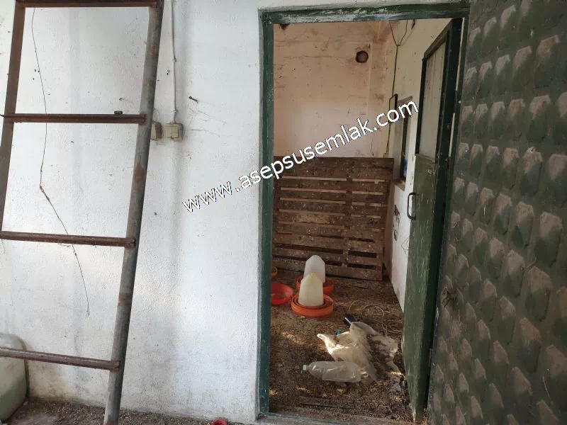 1.306 M2 Satılık Tavuk Çiftliği Her şeyi Hazır