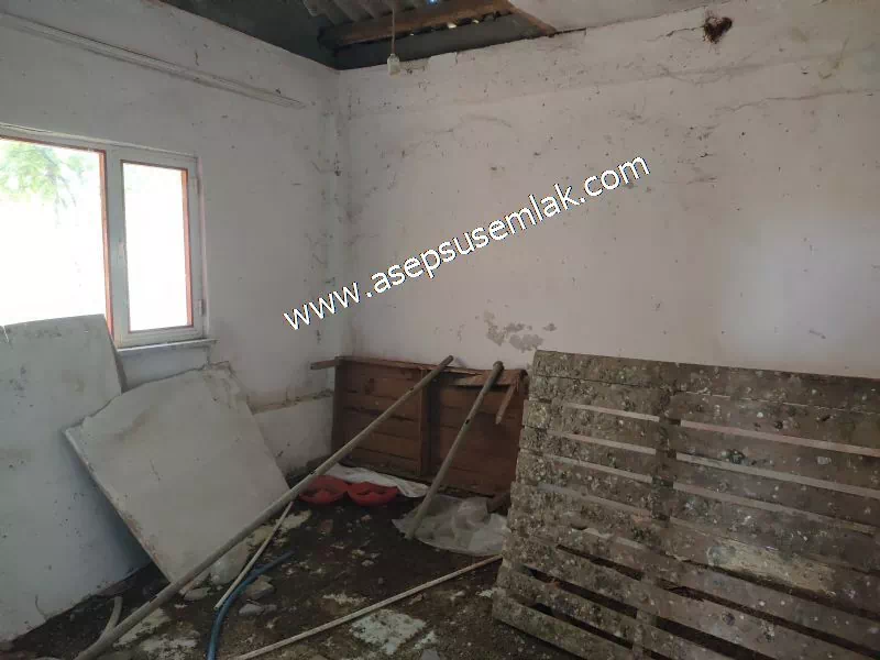 1.306 M2 Satılık Tavuk Çiftliği Her şeyi Hazır