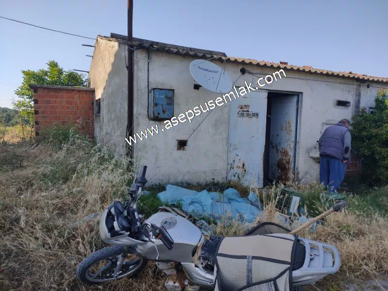 1.306 M2 Satılık Tavuk Çiftliği Her şeyi Hazır