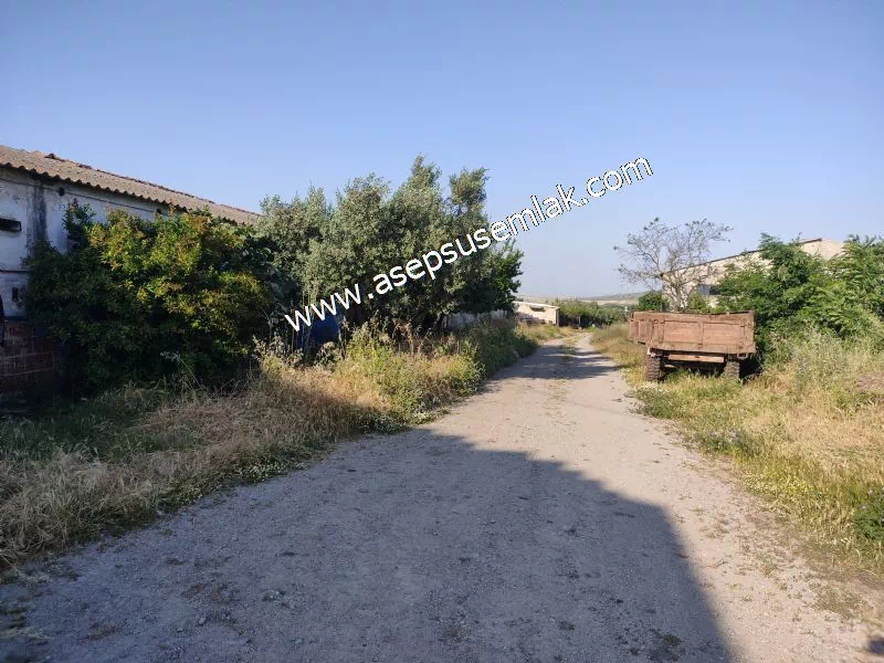 1.306 M2 Satılık Tavuk Çiftliği Her şeyi Hazır