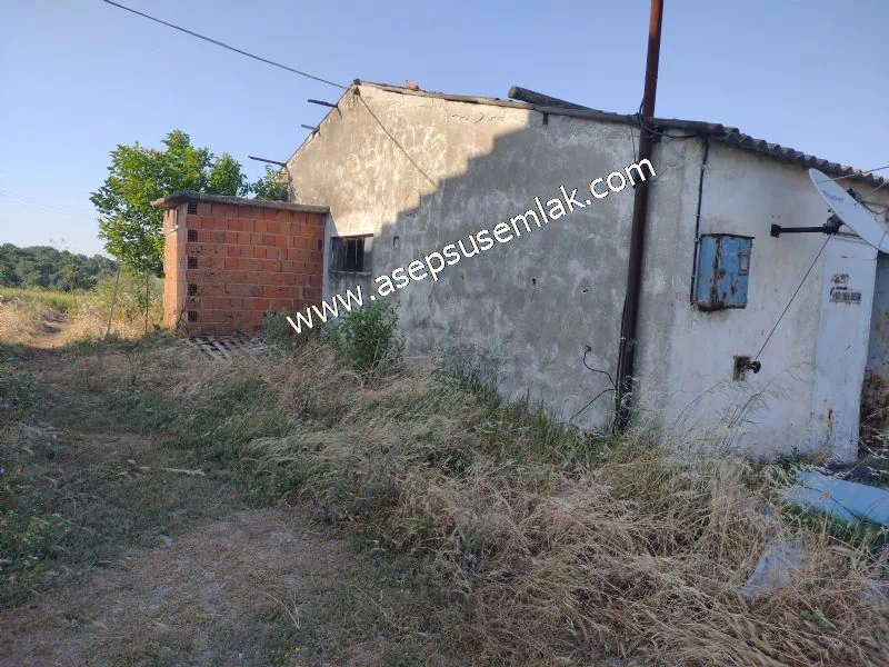 1.306 M2 Satılık Tavuk Çiftliği Her şeyi Hazır