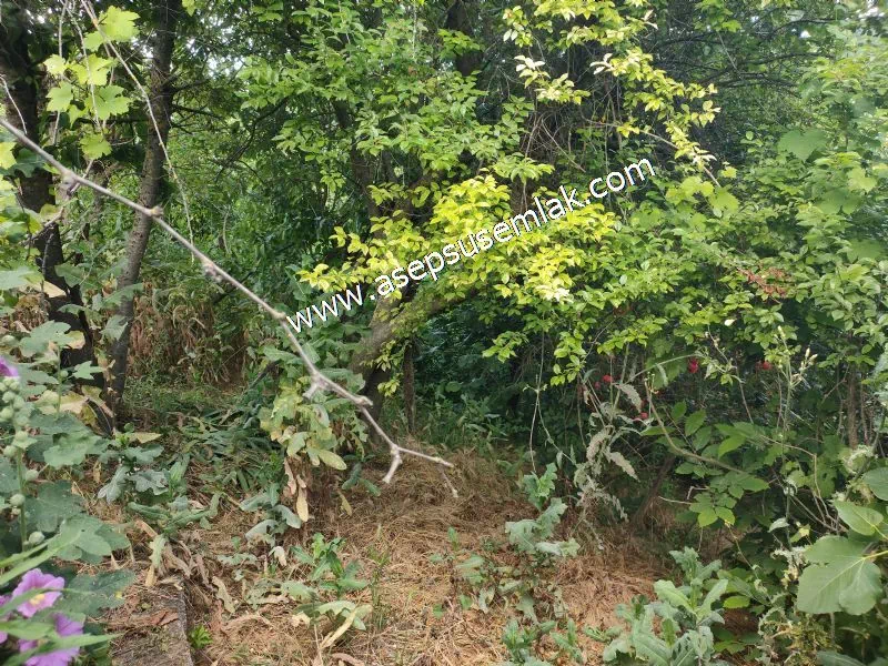 2.308 M2 2+1 SATILIK MUHTEŞEM KÖY EVİ