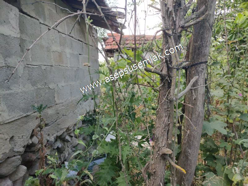 2.308 M2 2+1 SATILIK MUHTEŞEM KÖY EVİ