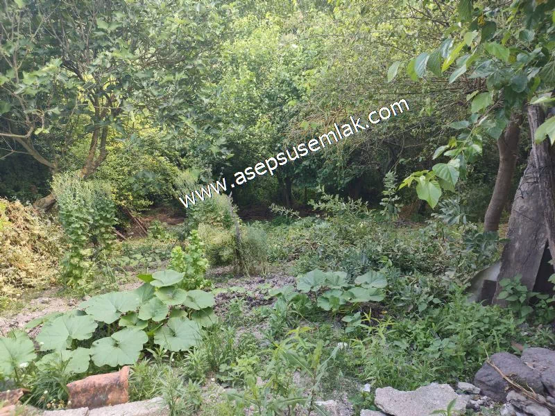 2.308 M2 2+1 SATILIK MUHTEŞEM KÖY EVİ