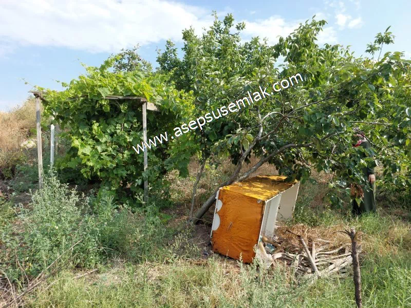 831 M2 KADASTRO YOLLU BAHÇE