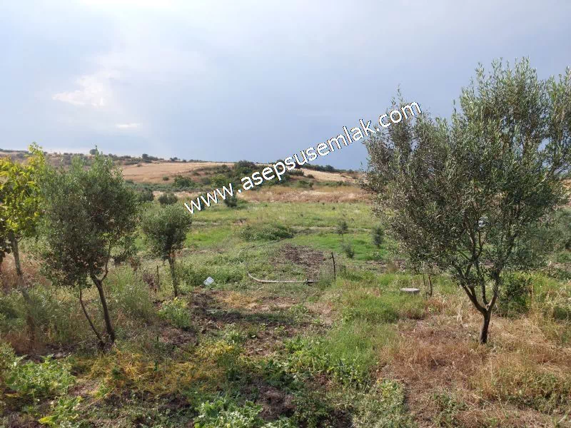 831 M2 KADASTRO YOLLU BAHÇE