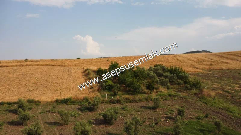 831 M2 KADASTRO YOLLU BAHÇE