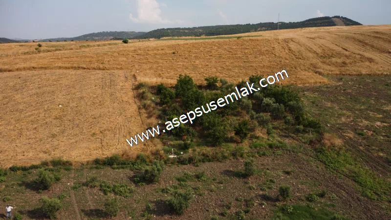 831 M2 KADASTRO YOLLU BAHÇE