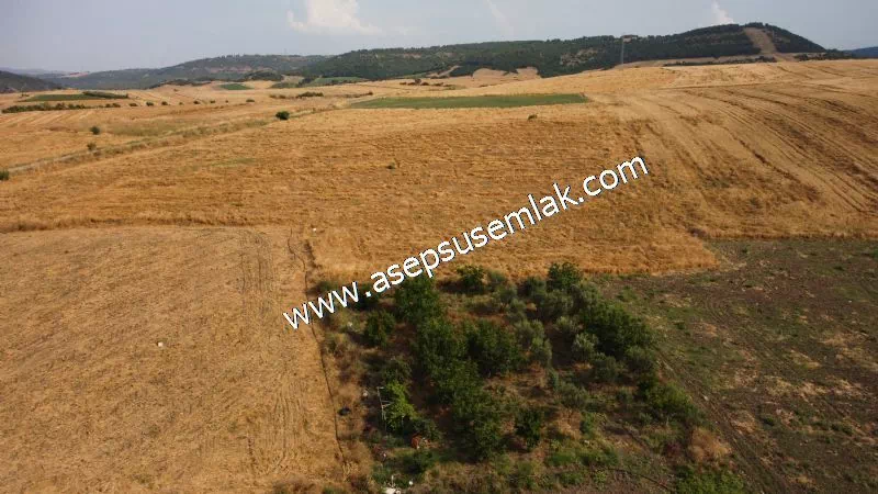 831 M2 KADASTRO YOLLU BAHÇE