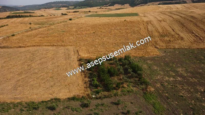 831 M2 KADASTRO YOLLU BAHÇE