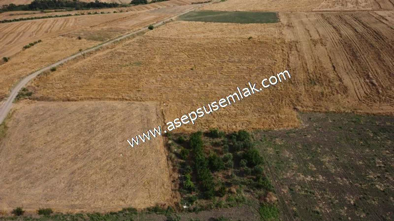 831 M2 KADASTRO YOLLU BAHÇE