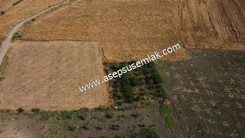 831 M2 KADASTRO YOLLU BAHÇE