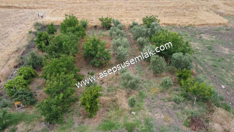 831 M2 KADASTRO YOLLU BAHÇE