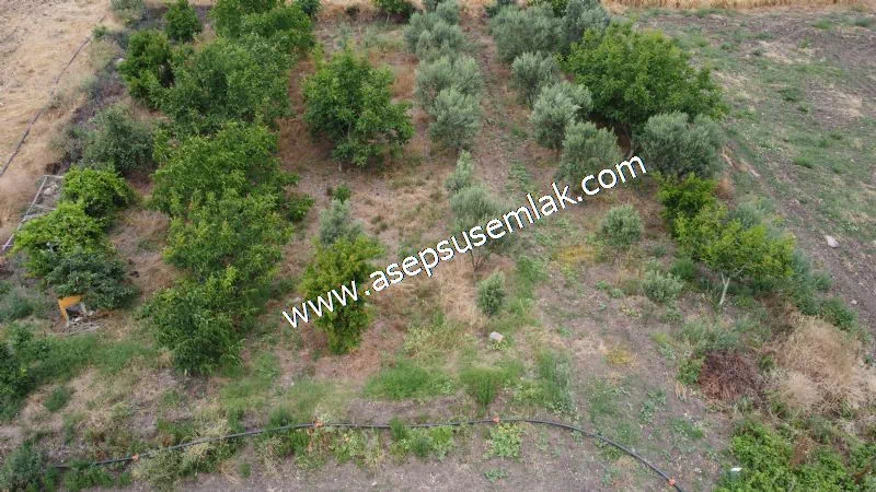 831 M2 KADASTRO YOLLU BAHÇE