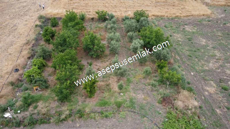 831 M2 KADASTRO YOLLU BAHÇE