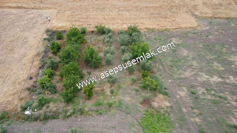 831 M2 KADASTRO YOLLU BAHÇE