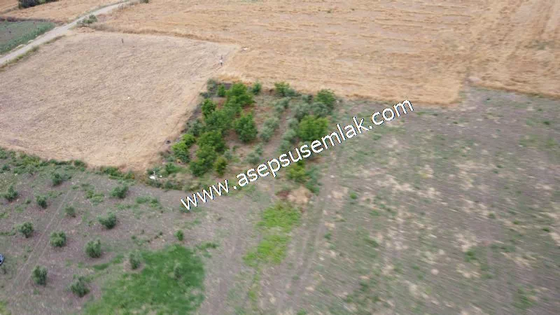 831 M2 KADASTRO YOLLU BAHÇE