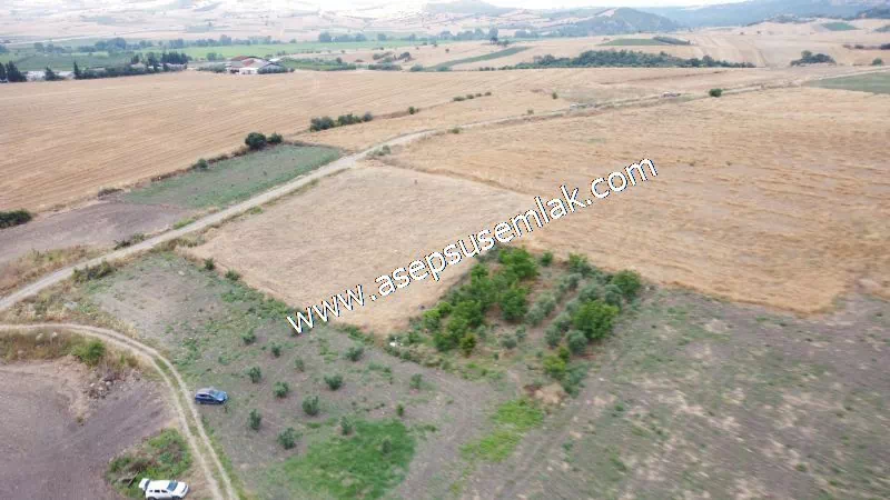 831 M2 KADASTRO YOLLU BAHÇE