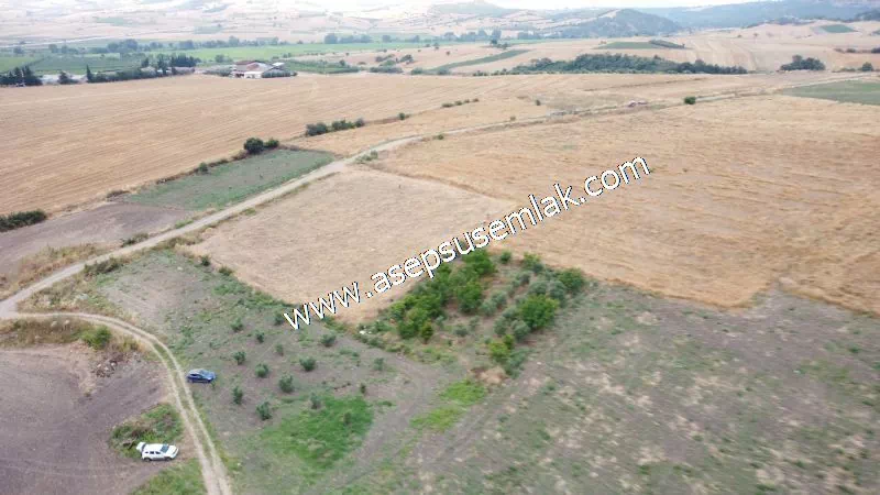 831 M2 KADASTRO YOLLU BAHÇE