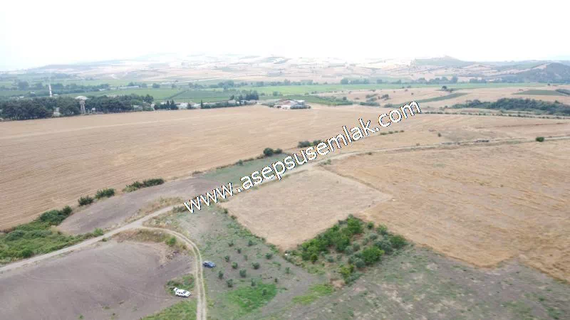 831 M2 KADASTRO YOLLU BAHÇE