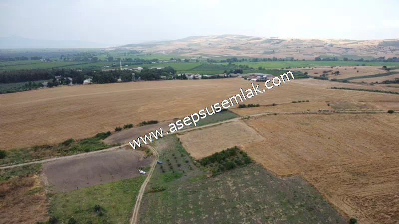 831 M2 KADASTRO YOLLU BAHÇE