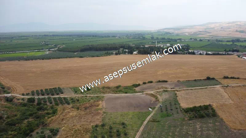 831 M2 KADASTRO YOLLU BAHÇE