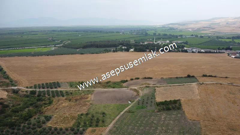 831 M2 KADASTRO YOLLU BAHÇE