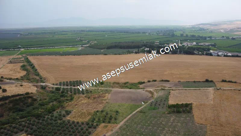 831 M2 KADASTRO YOLLU BAHÇE