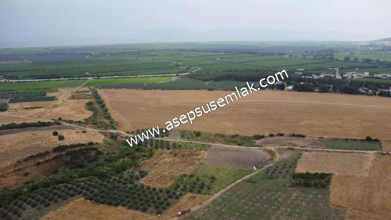 831 M2 KADASTRO YOLLU BAHÇE