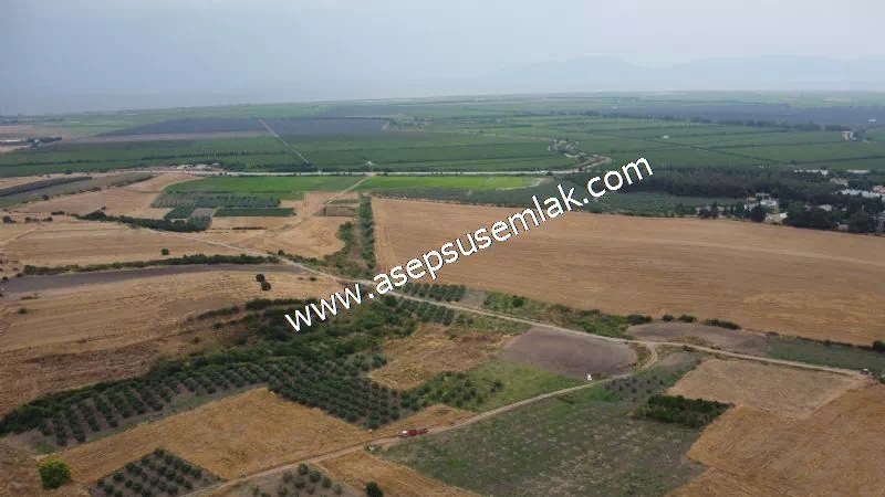 831 M2 KADASTRO YOLLU BAHÇE