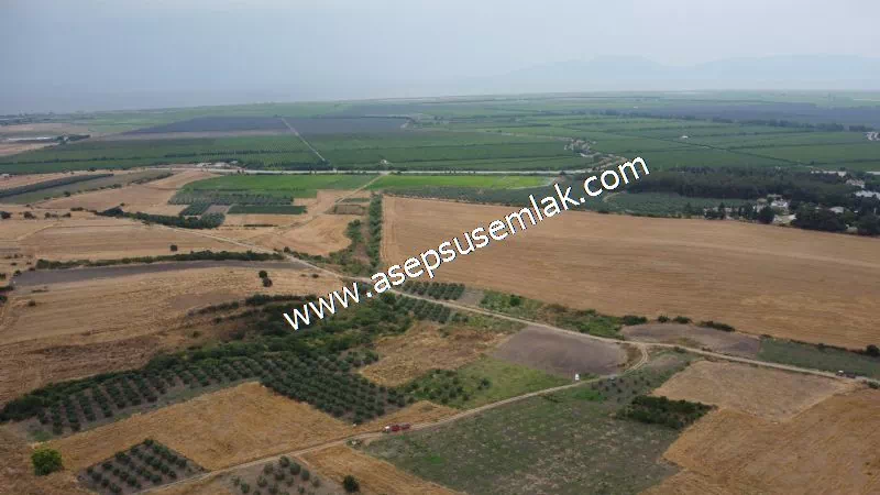 831 M2 KADASTRO YOLLU BAHÇE