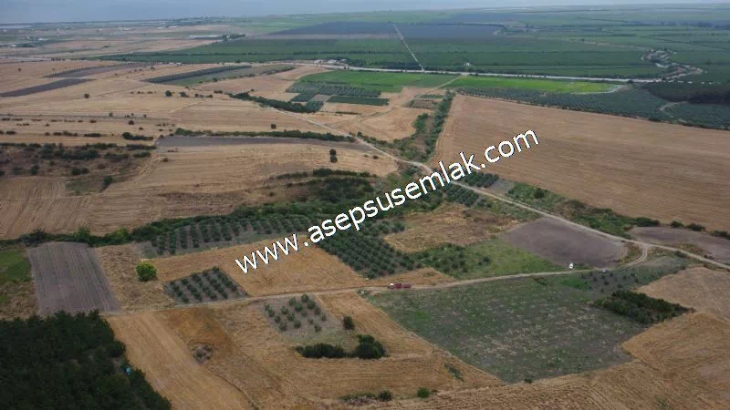 831 M2 KADASTRO YOLLU BAHÇE