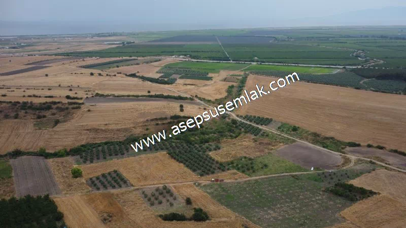 831 M2 KADASTRO YOLLU BAHÇE