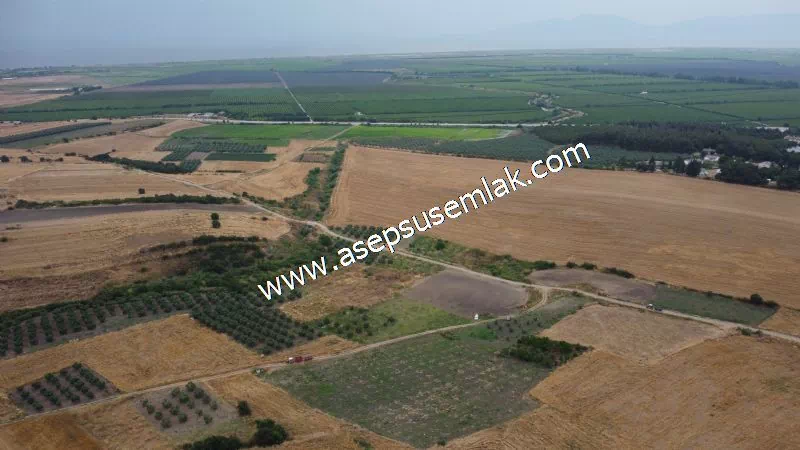 831 M2 KADASTRO YOLLU BAHÇE