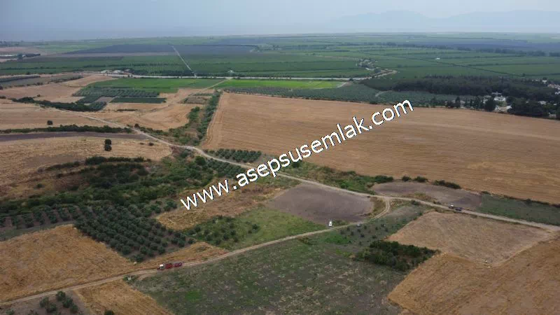 831 M2 KADASTRO YOLLU BAHÇE