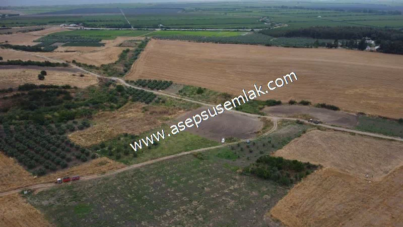 831 M2 KADASTRO YOLLU BAHÇE