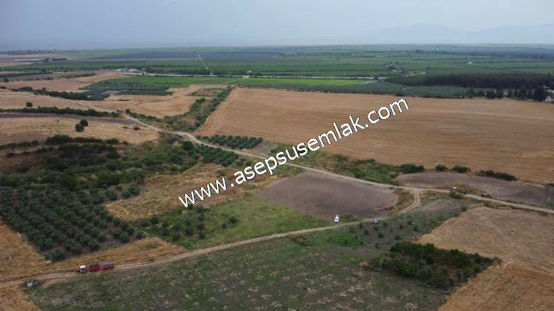 831 M2 KADASTRO YOLLU BAHÇE