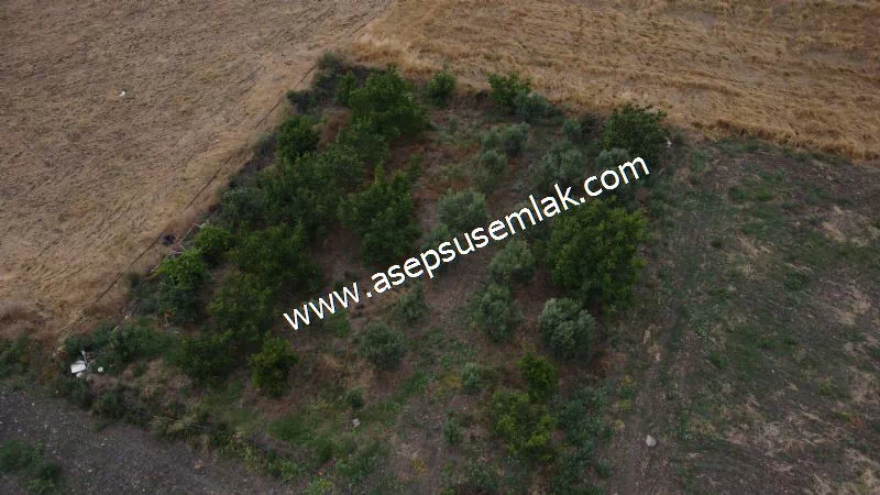 831 M2 KADASTRO YOLLU BAHÇE