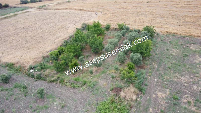 831 M2 KADASTRO YOLLU BAHÇE