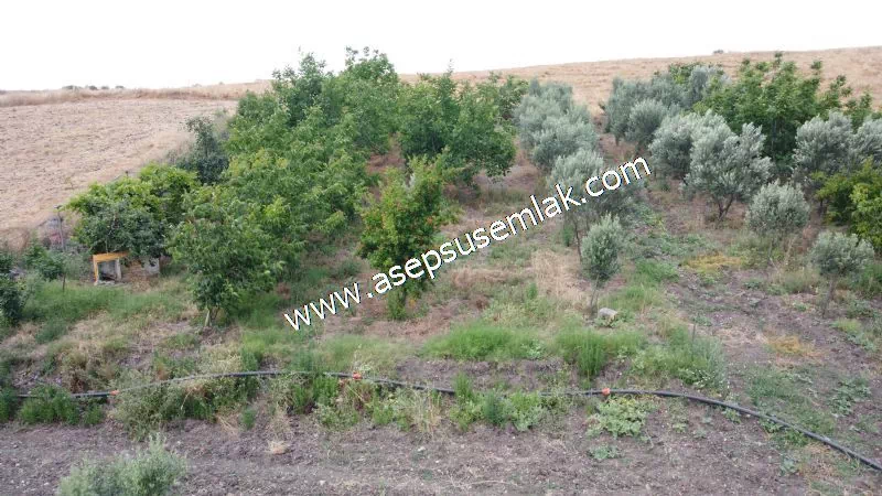 831 M2 KADASTRO YOLLU BAHÇE