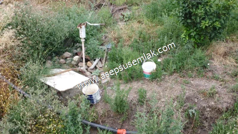 831 M2 KADASTRO YOLLU BAHÇE