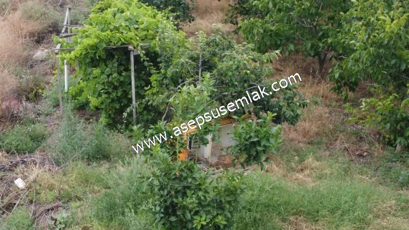 831 M2 KADASTRO YOLLU BAHÇE